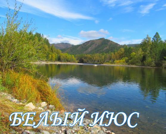 016 Белый Июс-1
